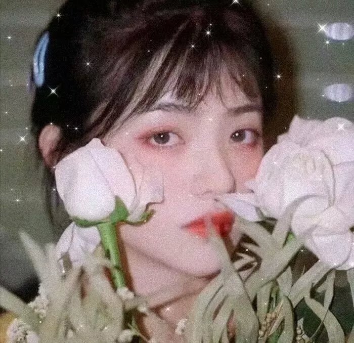 雪琉璃